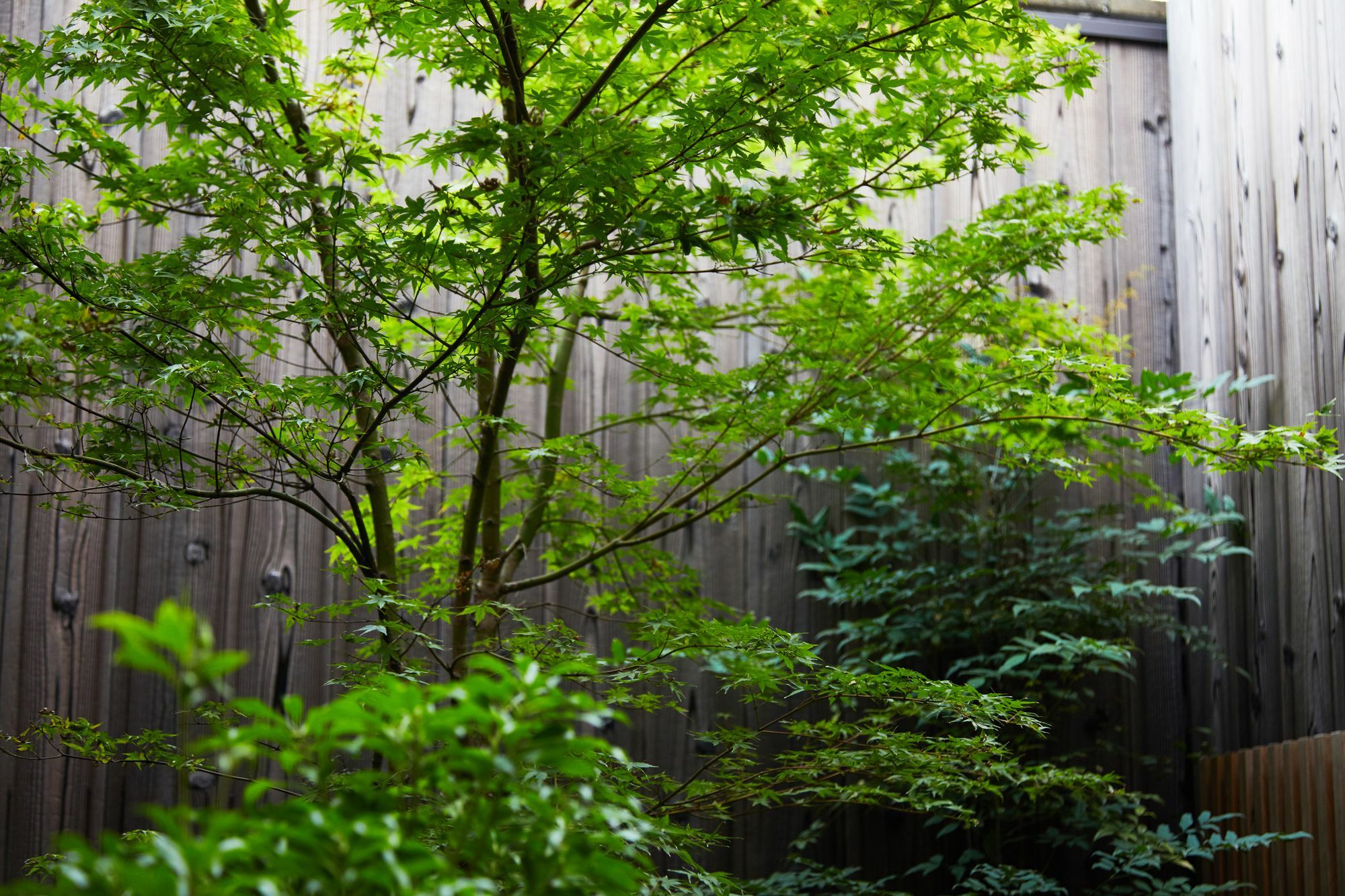 Ferienhaus Nakano-an